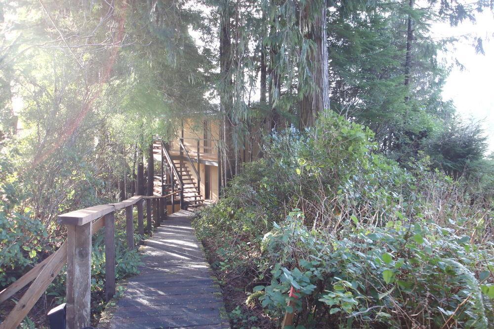 Duffin Cove Resort Tofino Exterior photo