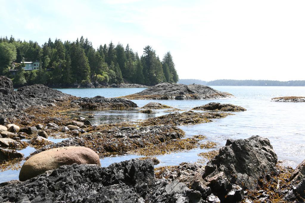 Duffin Cove Resort Tofino Exterior photo